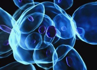 Stem cell researchers in Japan are heralding a "major scientific discovery", with the potential to start a new age of personalized medicine