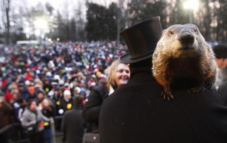 Groundhog Day 2014: Punxsutawney Phil predicts six weeks of winter