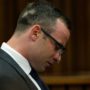 Oscar Pistorius trial: Lawyer denies claims athlete and Reeva Steenkamp were unhappy