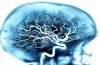 Georgetown University researchers have discovered that a blood test can accurately predict the onset of Alzheimer's disease