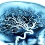 Blood test can accurately predict onset of Alzheimer’s disease