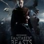 Fantastic Beasts and Where to Find Them: Harry Potter spin-off to be made into film trilogy