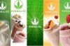 Herbalife sells a range of nutritional products across the globe through a network of independent distributors