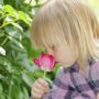 Human nose can detect one trillion different smells
