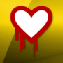 Heartbleed Bug: OpenSSL bug discovery fuels security fears