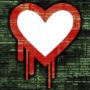 Heartbleed bug turned cyber criminals from attackers into victims