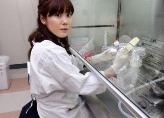 The Riken Centre panel said Dr. Haruko Obokata fabricated her work in an intentionally misleading fashion