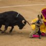 San Isidro festival suspended as three matadors are seriously gored by bulls