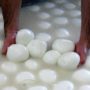 Mozzarella arrests: Italian factory shut down and 13 people detained