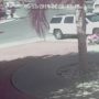 Cat saves boy from dog attack in Bakersfield
