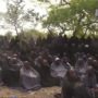 Nigeria: Teachers holding day of protests in support of kidnapped schoolgirls