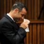 Oscar Pistorius trial: Prosecutor Gerrie Nel applies for mental observation