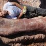 Bones of biggest dinosaur ever unearthed in Argentina