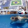 Brazil’s World Cup Big Head turtle oracle