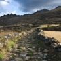Qhapaq Nan: Inca Empire’s road system wins World Heritage status