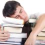 Sleep is necessary for memory formation