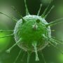 CrAssphage: New gut virus discovered