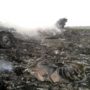 Malaysia Airlines crash: Ukraine separatists to allow jet probe