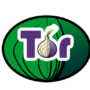 Tor Project: Russia offers $110,000 reward to crack anonymous network