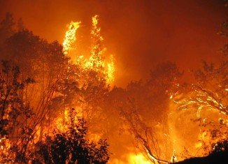 The 2009 Black Saturday fires resulted in Australia's highest ever loss of life from a bushfire