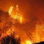Australia: Black Saturday bushfires survivors win record payout