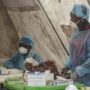Ebola outbreak: Second Sierra Leone doctor dies from hemorrhagic fever