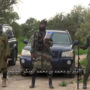 Boko Haram proclaims Islamic caliphate in north-eastern Nigeria