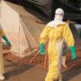 Ebola outbreak could infect 20,000 people in West Africa