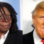 Whoopi Goldberg discusses Donald Trump’s Ebola tweets on The View