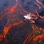 Deepwater Horizon oil spill: BP found guilty of gross negligence