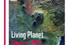 The 2014 Living Planet Report suggests wildlife populations have halved in 40 years