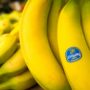 Chiquita shareholders vote against merger deal with Fyffes