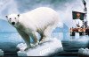 Greenpeace has been campaigning against Arctic drilling by oil companies such as Shell and has accused Lego of associating with bad company