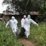 Ebola outbreak: Liberia sees decline in spread of infections