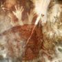 Earliest cave paintings produced by humans discovered in Indonesia