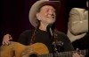 Willie Nelson’s iconic braids sold for $37,000 at Guernsey's auction in New York