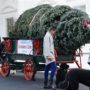 2014 White House Christmas Tree welcomed by Michelle Obama