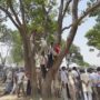 Indian hanged girls: Badaun cousins committed suicide, were not killed