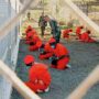 Afghan detainees released from Guantanamo Bay prison