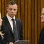 Oscar Pistorius verdict appeal delayed