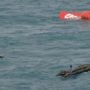 AirAsia plane tail recovered from Java Sea