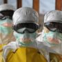 Ebola 2015: Falling cases show turning point