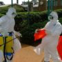 Ebola outbreak will be ended in 2015