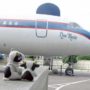Elvis Presley’s private jets Lisa Marie and Hound Dog II going up for auction