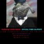 Malaysia Airlines website hacked by Lizard Squad