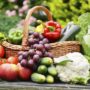 Nutritional Guidance: How To Choose The Right Expert