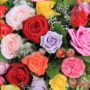 Valentine’s Day: Rose color language
