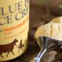 Blue Bell ice creams recalled after three people died of listeriosis in Kansas