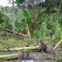 Cyclone Pam hits Vanuatu after causing damages in South Pacific nations