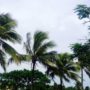 Cyclone Pam kills dozens in Vanuatu